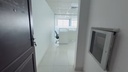 vimeo - [Video]