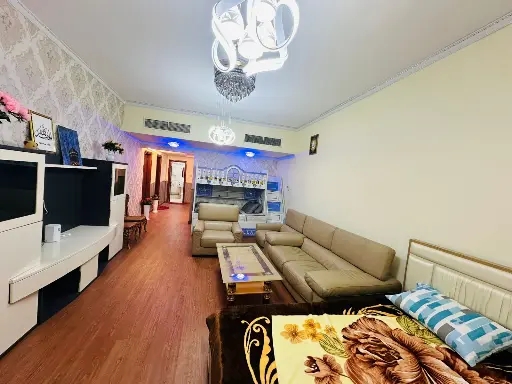 Furnished 1 BHK Apartment | Horizon Tower
